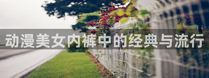动漫之岛