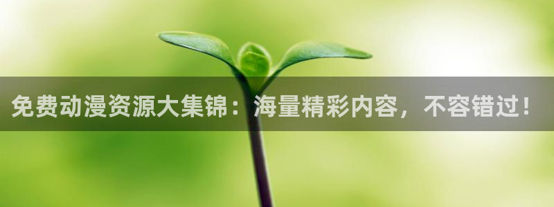 动漫之家社区版