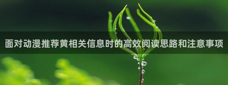免费无遮挡动漫:面对动漫推荐黄相关信息时的高效阅读思路和注意事项