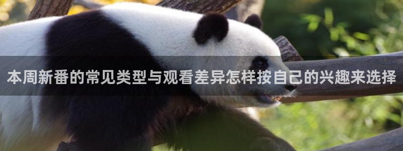 tarltarl动漫:本周新番的常见类型与观看差异怎样按自己的兴趣来选择