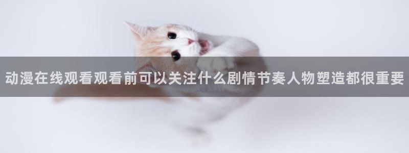 动漫共和国官网