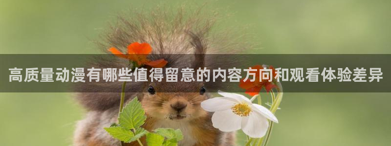 全部动漫:高质量动漫有哪些值得留意的内容方向和观看体验差异
