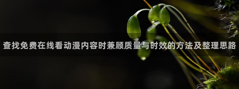 动漫之家：查找免费在线看动漫内容时兼顾质量与时效的方法及整理思路